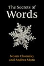 Noam Chomsky: The Secrets of Words, Buch