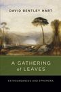 DAVID BENTLEY HART, A GATHERING of LEAVES, EXTRAVAGANCES AND EPHEMERA. Illustration: Landschaft mit Bäumen und Figuren.