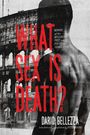 Dario Bellezza: What Sex Is Death?, Buch
