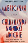 Chimamanda Ngozi Adichie: Americanah, Buch