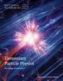 National Academies of Sciences Engineering and Medicine: Elementary Particle Physics, Buch