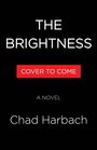Chad Harbach: The Brightness, Buch