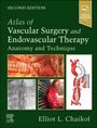 : Atlas of Vascular Surgery and Endovascular Therapy, Buch