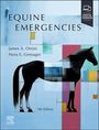 James A Orsini: Equine Emergencies, Buch