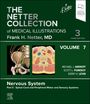 : The Netter Collection of Medical Illustrations: Nervous System, Volume 7, Part II - Spinal Cord and Peripheral Motor and Sensory Systems, Buch