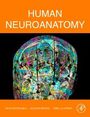 Reha Erzurumlu: Human Neuroanatomy, Buch