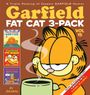 Jim Davis: Garfield Fat Cat 3-Pack #15, Buch