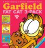 Jim Davis: Garfield Fat Cat 3-Pack #17, Buch