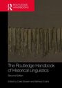„The Routledge Handbook of Historical Linguistics, Second Edition, edited by Claire Bowern and Bethwyn Evans.“ Oberes Drittel: Logo. Darunter: Khipu-Bild.