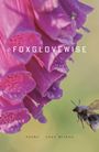 Ange Mlinko: Foxglovewise, Buch