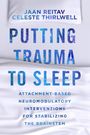 Jaan Reitav: Putting Trauma to Sleep, Buch