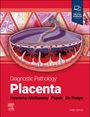 Amy Heerema-Mckenney: Diagnostic Pathology: Placenta, Buch
