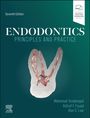 : Endodontics, Buch