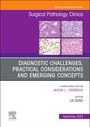 : Diagnostic Challenges, Practical Considerations and Emerging Concepts, an Issue of Surgical Pathology Clinics, Buch