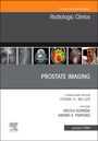 : Prostate Imaging, an Issue of Radiologic Clinics of North America, Buch