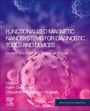 : Functionalized Magnetic Nanosystems for Diagnostic Tools and Devices, Buch