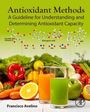 Francisco Avelino: Antioxidant Methods, Buch