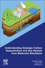 Yongchen Song: Understanding Geologic Carbon Sequestration and Gas Hydrate from Molecular Simulation, Buch