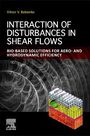 Viktor V Babenko: Interaction of Disturbances in Shear Flows, Buch