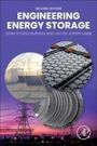 Jacob Joseph Lamb: Engineering Energy Storage, Buch