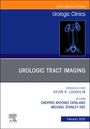 : Urologic Tract Imaging, An Issue of Urologic Clinics of North America, Buch