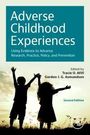 "Adverse Childhood Experiences" steht im oberen Bereich. Zwei Kinder halten sich an den Händen und feiern vor einem Sonnenuntergang.