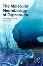 Jaya Sarkar: The Molecular Neurobiology of Depression, Buch