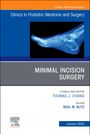 : Advanced Imaging of the Foot and Ankle, an Issue of Clinics in Podiatric Medicine and Surgery, Buch