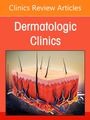Medical Devices in Dermatology, an Issue of Dermatologic Clinics, Buch