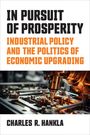 Charles R Hankla: In Pursuit of Prosperity, Buch