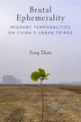 „Brutal Ephemerality“, „Migrant Temporalities on China's Urban Fringe“, „Yang Zhan“. Einsamer Setzling auf karger Landschaft.