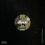 Skylab: Skylab, Buch