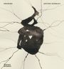 Antony Gormley: Drawing, Buch