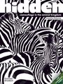 "hidden", "camouflage in the animal kingdom", "Amandine Delaunay". Zebras mit schwarz-weißen Streifen.