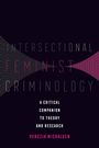 Venezia Michalsen: Intersectional Feminist Criminology, Buch