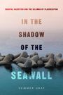 Summer Gray: In the Shadow of the Seawall, Buch
