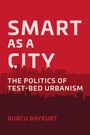 Burcu Baykurt: Smart as a City, Buch