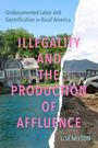 Lise Nelson: Illegality and the Production of Affluence, Buch