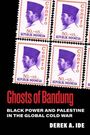 „Ghosts of Bandung“, „Black Power and Palestine in the Global Cold War“, „Derek A. Ide“. Marken mit „Republik Indonesien“.