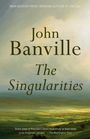 John Banville: The Singularities, Buch