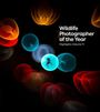 : Wildlife Photographer of the Year: Highlights Volume 11, Buch