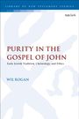 Wil Rogan: Purity in the Gospel of John, Buch