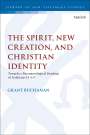 Grant Buchanan: The Spirit, New Creation, and Christian Identity, Buch