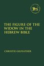 Gelber Text auf dunklem Hintergrund. Titel: "THE FIGURE OF THE WIDOW IN THE HEBREW BIBLE". Autor: CHRISTIE GILFEATHER. Logo rechts oben.