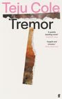 Teju Cole: Tremor, Buch
