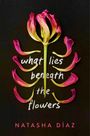 Natasha Díaz: What Lies Beneath the Flowers, Buch