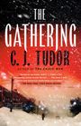 C J Tudor: The Gathering, Buch