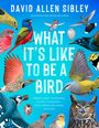 David Allen Sibley: What It's Like to Be a Bird (Adapted for Young Readers), Buch