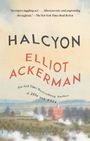 Elliot Ackerman: Halcyon, Buch