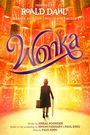 Roald Dahl: Wonka, Buch